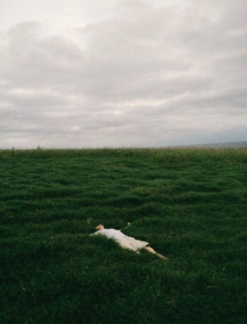 ảnh bãi cỏ đẹp