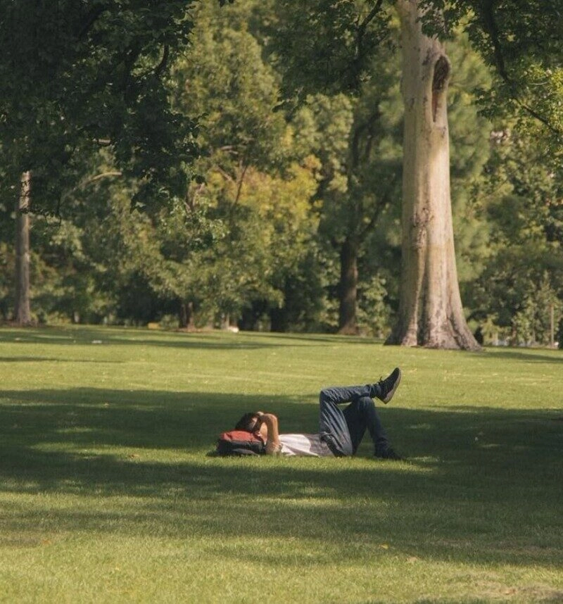 ảnh bãi cỏ đẹp