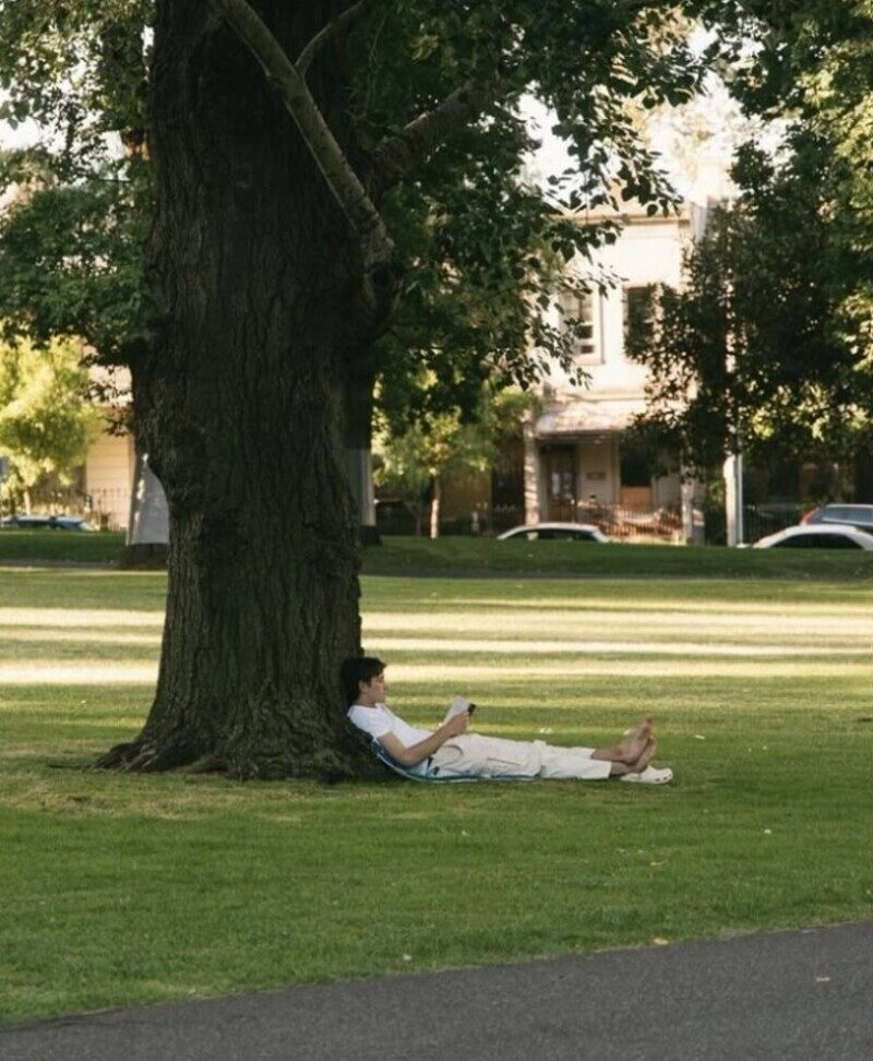 ảnh bãi cỏ đẹp