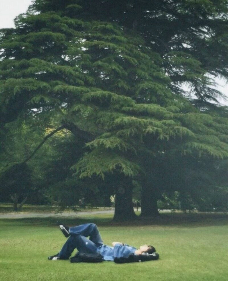 ảnh bãi cỏ đẹp