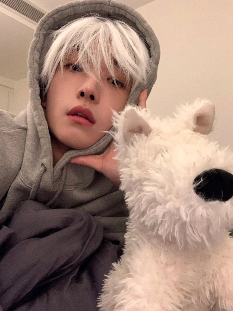 ảnh nam tóc trắng