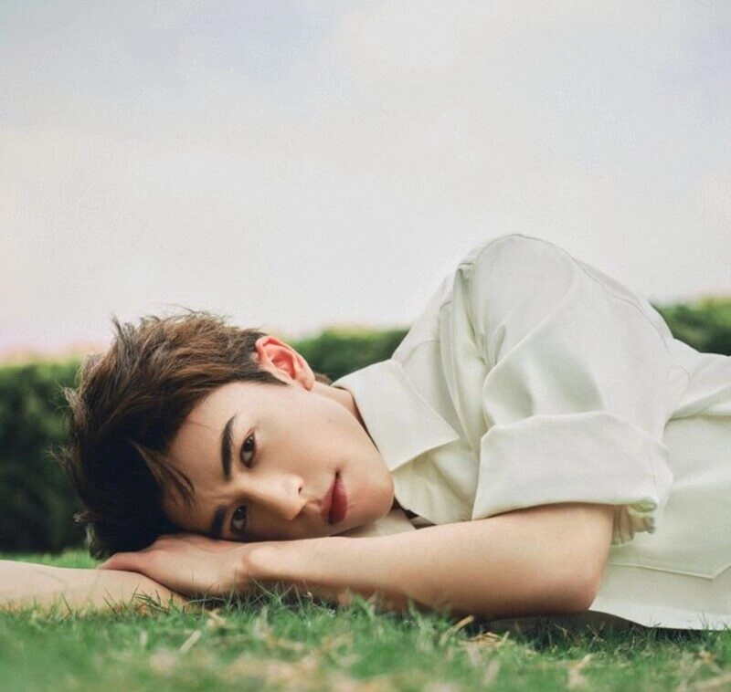 ảnh nằm trên bãi cỏ