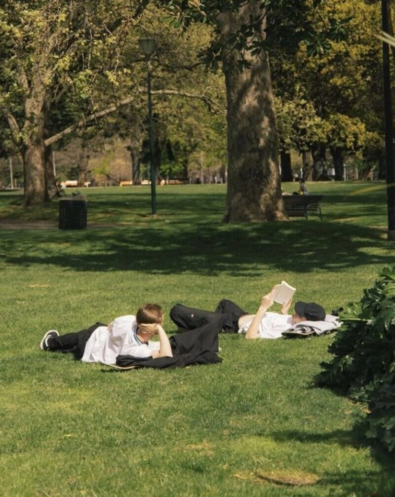 ảnh nằm trên xe