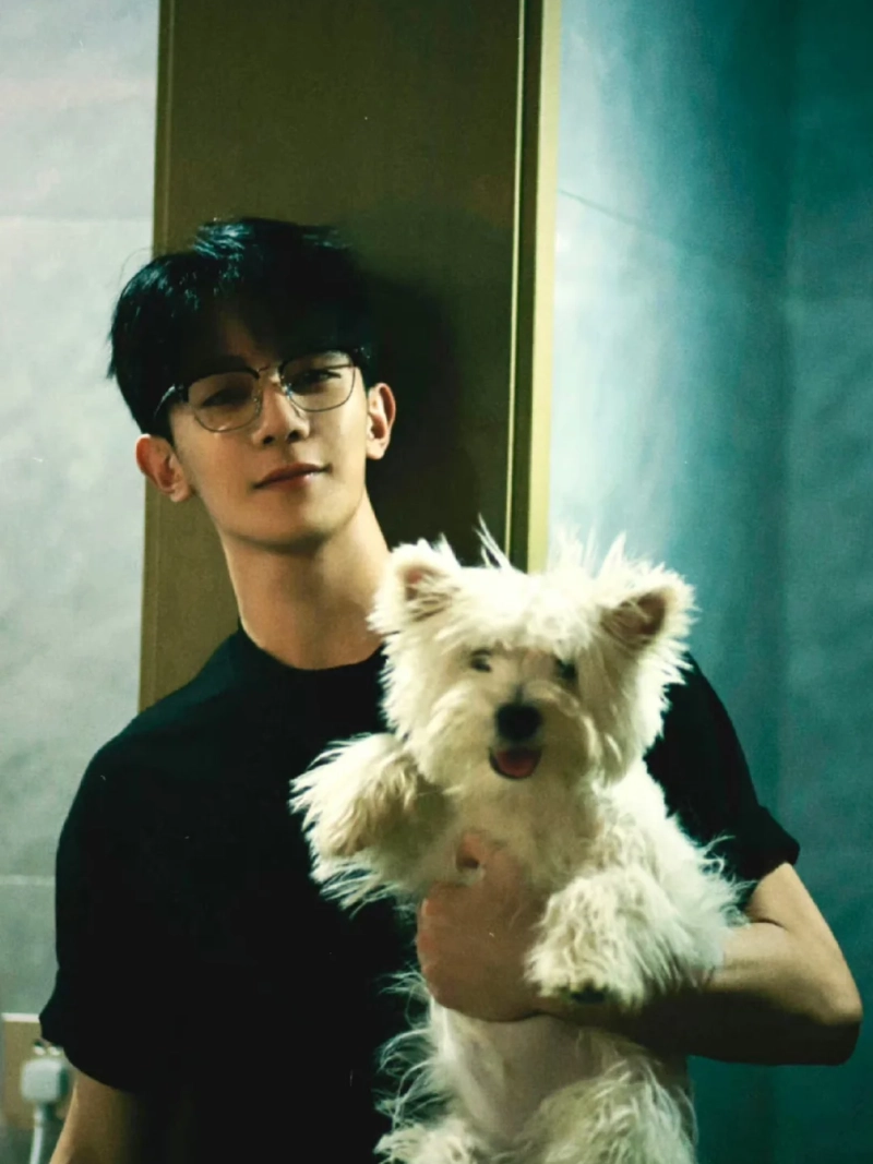 ảnh trai đẹp ôm mèo