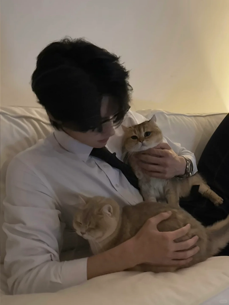 ảnh trai đẹp ôm mèo