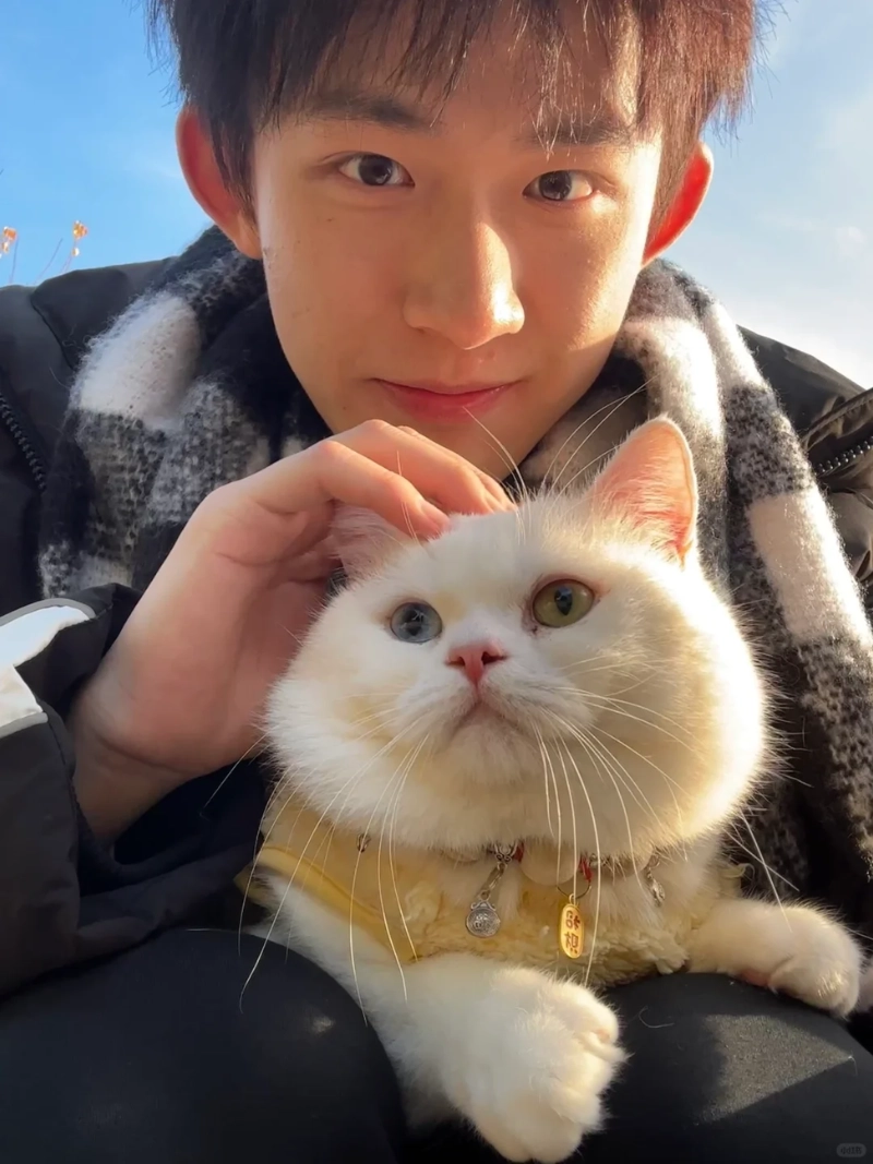 ảnh trai đẹp ôm mèo