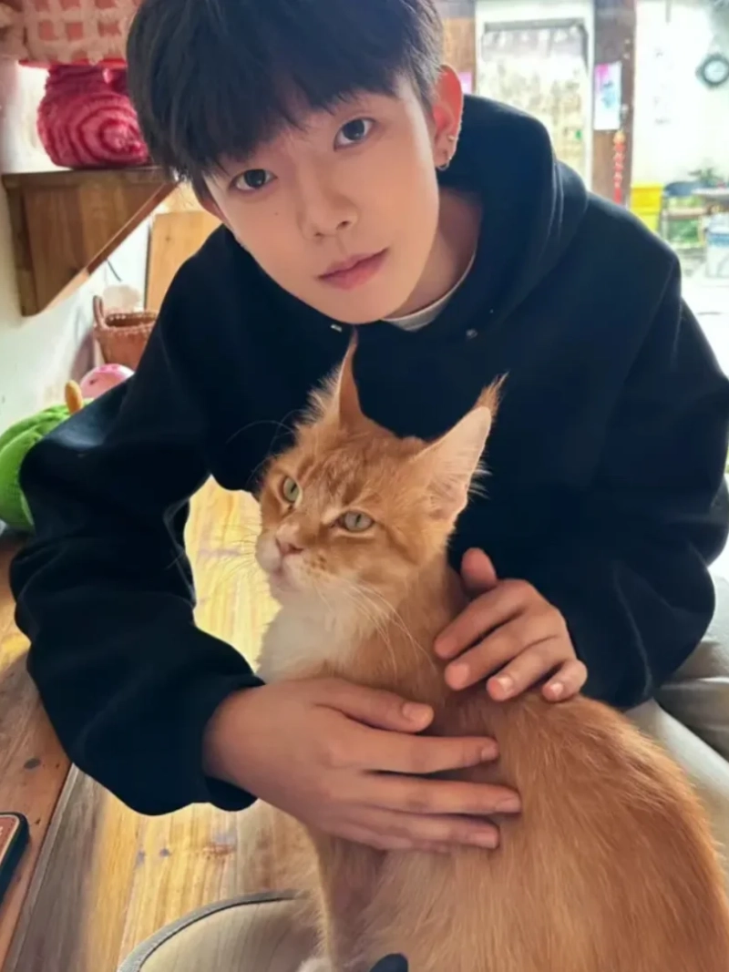 ảnh trai đẹp ôm mèo
