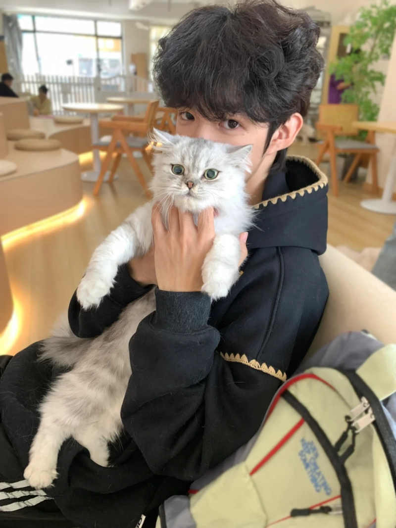 ảnh trai đẹp ôm mèo