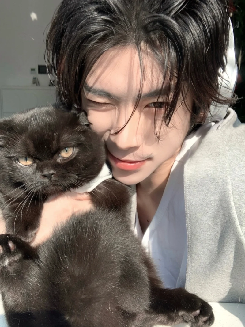 ảnh trai đẹp ôm mèo