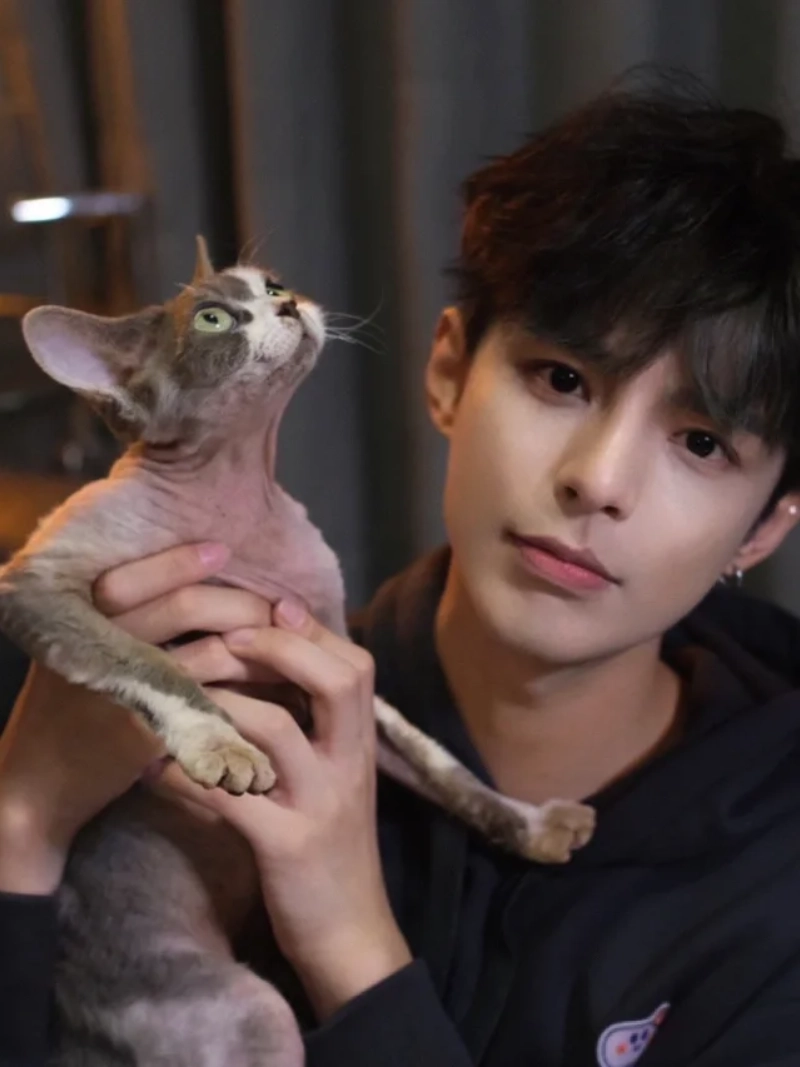 ảnh trai đẹp ôm mèo