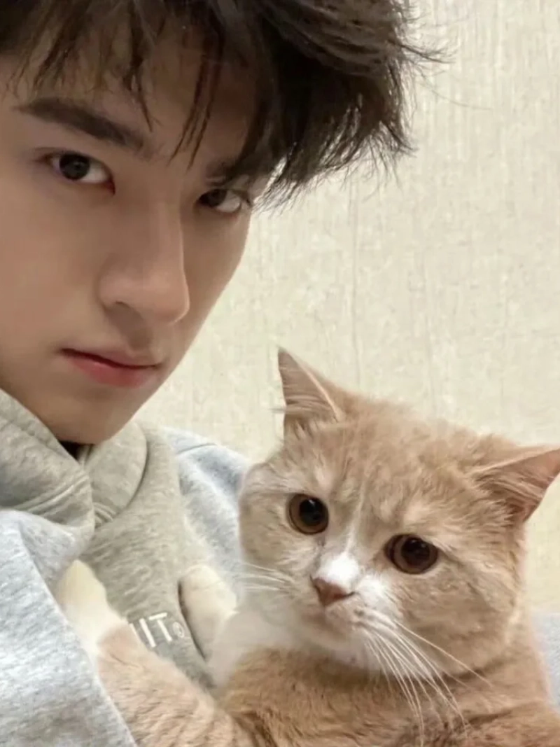ảnh trai đẹp ôm mèo
