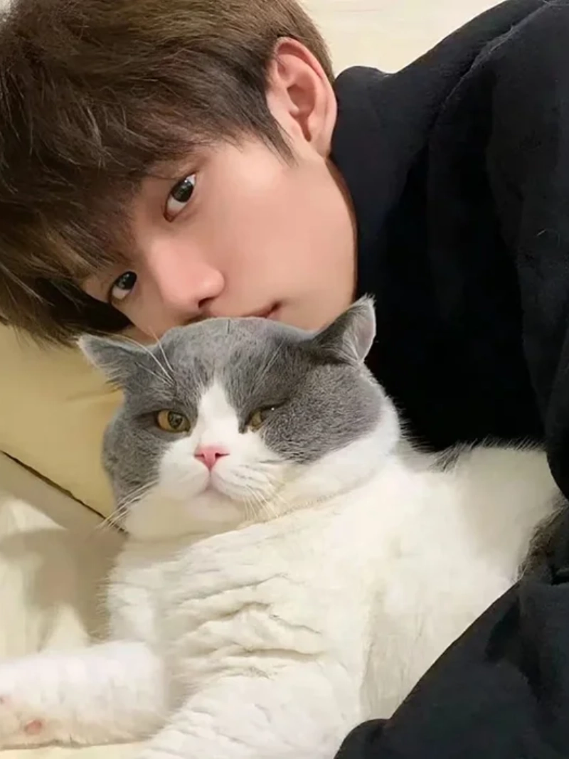 ảnh trai đẹp ôm mèo