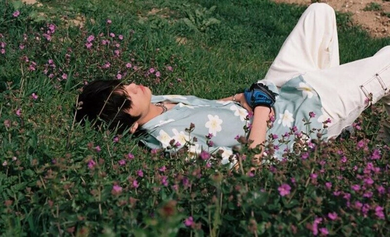 hình ảnh nằm trên bãi cỏ