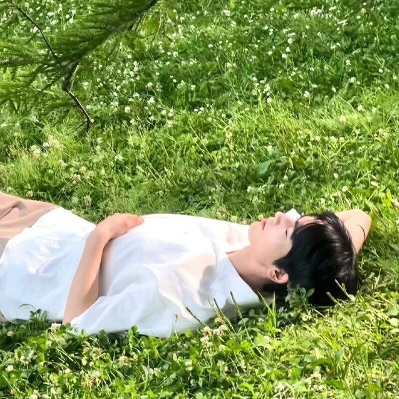 hình ảnh nằm trên bãi cỏ