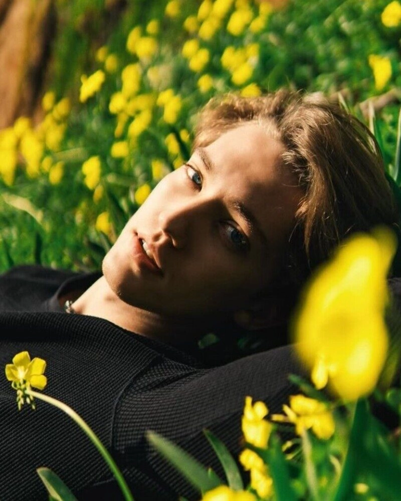 hình ảnh nằm trên bãi cỏ