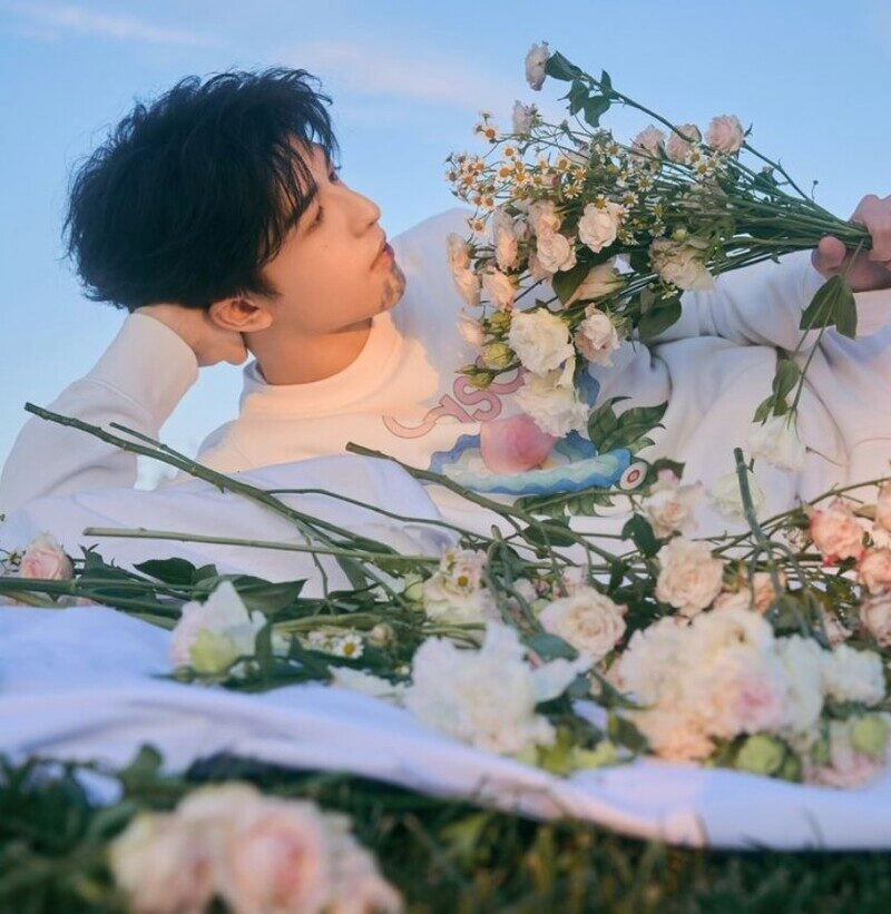 hình ảnh nằm trên bãi cỏ